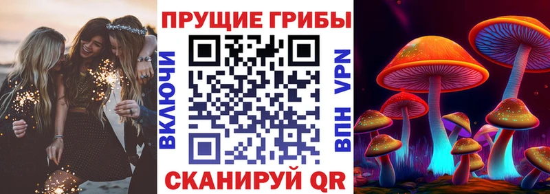 Галлюциногенные грибы прущие грибы  Аша 
